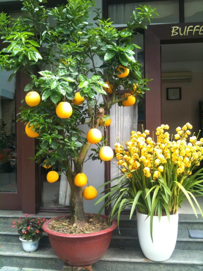 Thien Anh Hotel Hai Phong Exterior photo
